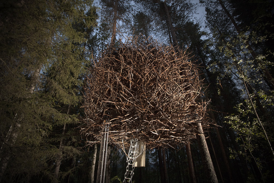 Tree Hotels - Bird Nest